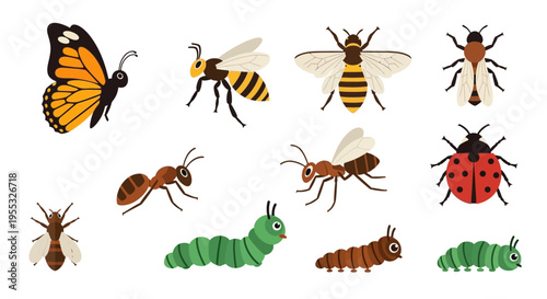 Insects in Various Stages.