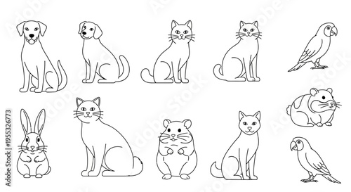 Line Drawings of Pets.