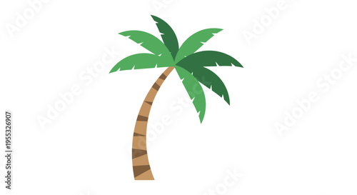 Palm Tree Illustration Isolated.