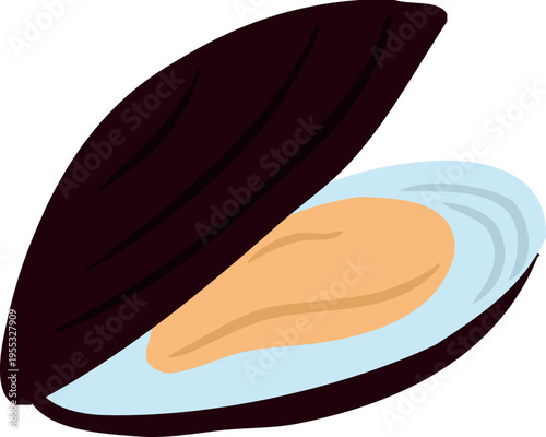 Mussel clam in shell vector flat illustration, seafood, ocean animal product for cooking, Mediterranean menu design