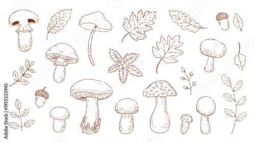 A decorative illustration collection of traditional Colombian cultural elements arranged in a horizontal layout featuring mushrooms and leaves