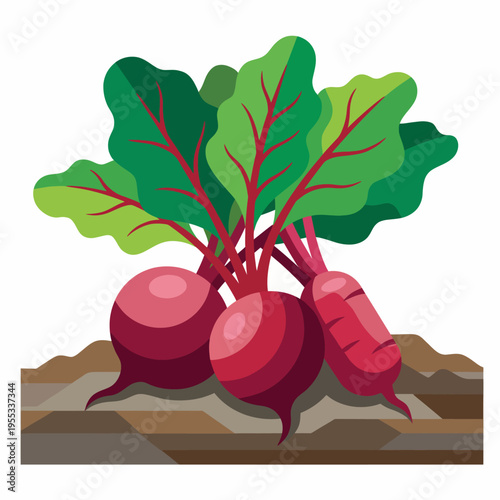 The image features fresh, vibrant beetroots peeking through the soil, showcasing their green leaves and rich purple-red color, embodying the essence of healthy, organic farming.