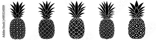 black pineapple icons set with decorative pattern variations tropical fruit illustration collection monochrome design elements isolated on white background