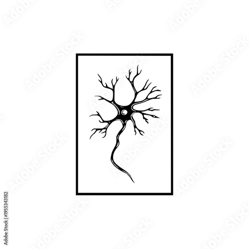 Neuron Cell Structure Illustration in Black and White