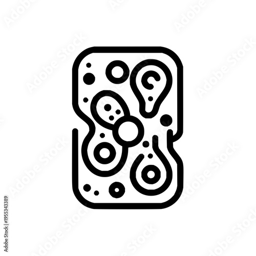 Cell Biology Illustration with Organelles and Membrane