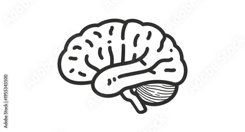 human, brain, anatomy, sketch, drawing, lineart, outline, diagram, structure, organ, head, mind, thinking, intelligence, memory, cognition, science, medical, biology, anatomyart, nervous, system, neur