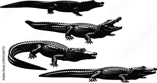 Set of black and white alligator silhouettes featuring crocodile reptile illustrations with detailed scales and sharp teeth isolated on white background for graphic design.