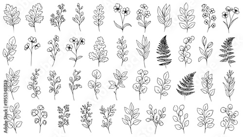 Collection of various hand drawn botanical sketch elements featuring diverse leafy branches, delicate floral sprigs, and intricate fern fronds, ideal for organic design projects.