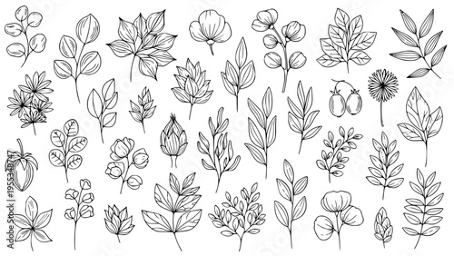 Collection of various delicate botanical line art elements featuring assorted detailed floral buds leaves branches berries and simple natural organic plant illustrations perfect for design.