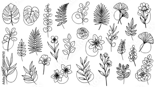 Adobe Illustrator Artwork