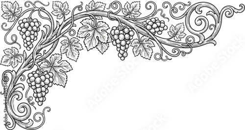 Hand Drawn Engraving Style Vineyard Decorative Floral Frame Element