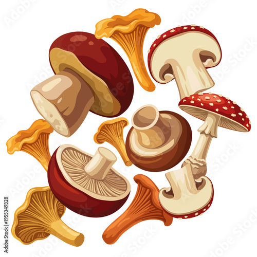 A vibrant collection of assorted mushrooms in various shapes and colors, capturing the beauty of nature's diversity and the culinary potential of this earthy delight.