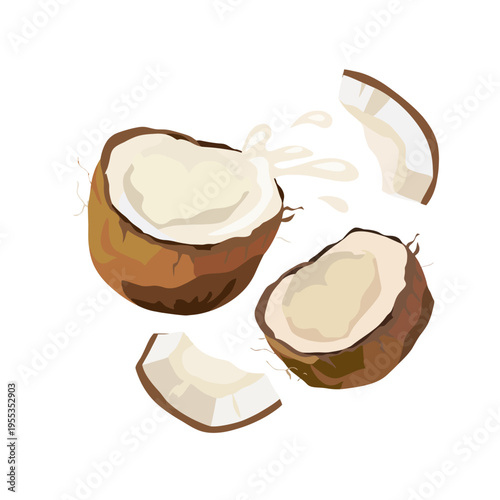 A visually appealing image of a cracked coconut with its fresh white flesh exposed, emphasizing the tropical essence and culinary uses of this exotic fruit.