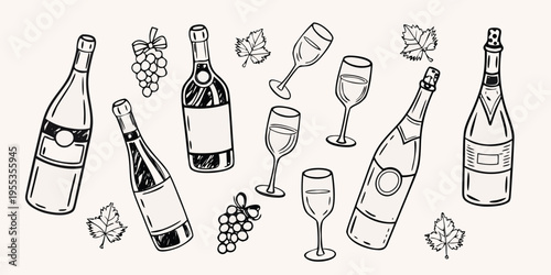 Elegant hand drawn sketch of wine bottles glasses and grape bunches