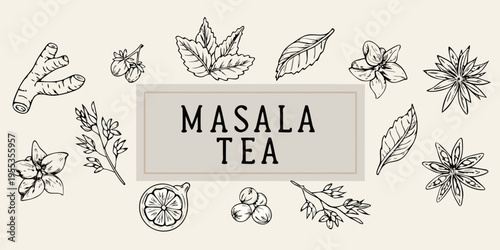 Hand drawn illustration of masala tea ingredients and botanical elements