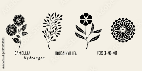 Floral botanical illustrations depicting camellia bougainvillea and forget me not flowers
