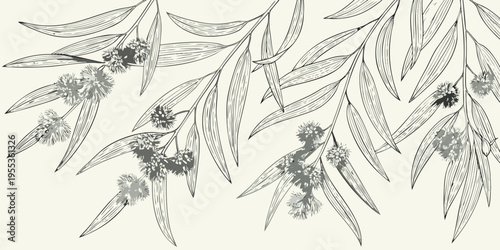 Delicate botanical illustration of eucalyptus branches and blossoming flowers