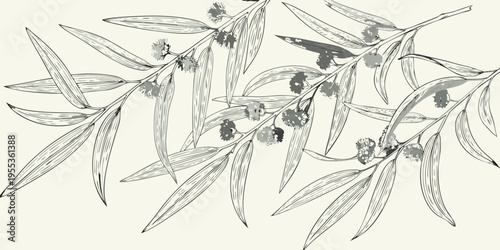 Delicate eucalyptus branches and leaves in a sketched seamless pattern