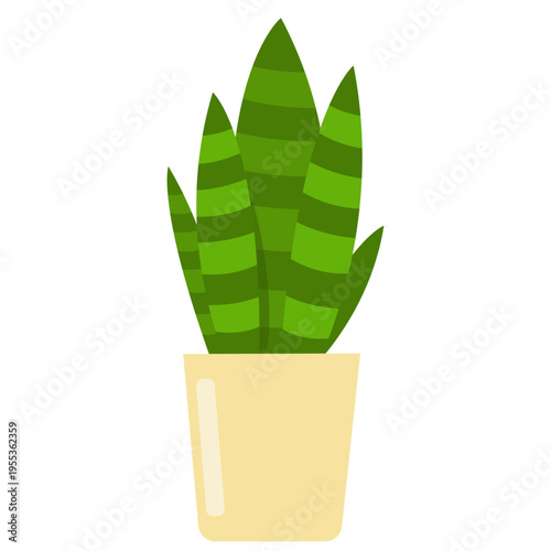 Sansevieria potted plant in pot. Vector. Snake plant, mother in law tongue, indoor flower in flat design isolated on white background. Cartoon colorful illustration.