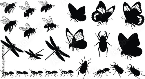 Silhouette of various insects isolated on transparent background