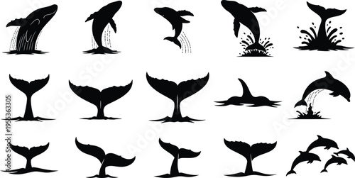 Silhouette of various whale tails isolated on transparent background