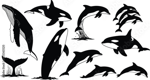 Silhouette of orcas isolated on transparent background