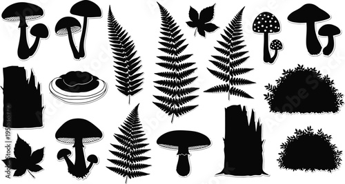 Silhouette of various mushrooms and ferns isolated on transparent background