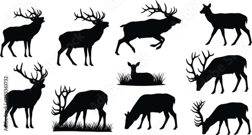 Silhouette of various deer isolated on transparent background