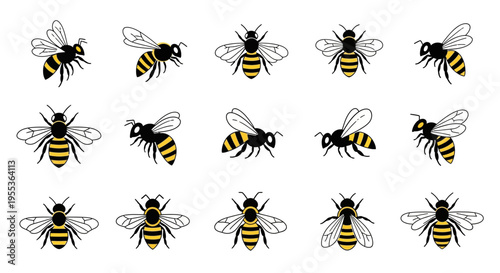 Set of Honey Bee Icons and Illustrations