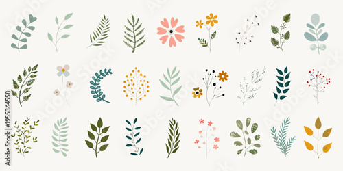 Assorted botanical illustrations of leaves flowers and sprigs in soft colors