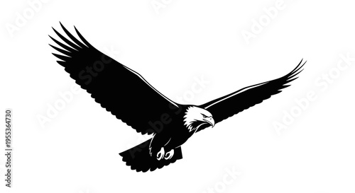 Majestic bald eagle soaring in flight with spread wings on white background