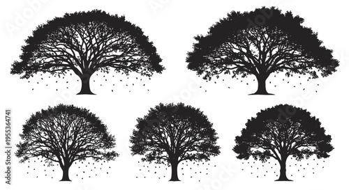 Silhouettes of five trees with falling leaves on white background seasonal autumn illustrations