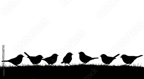 Silhouette of a flock of small birds perched on grassy ground looking right black and white