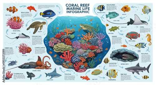 Coral Reef Marine Life Infographic with Tropical Fish and Sea Animals