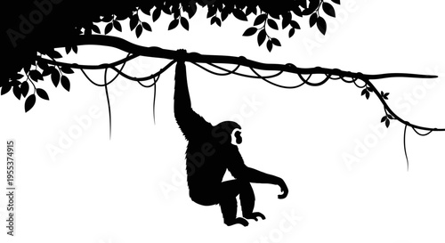 Monkey Hanging from Tree Branch.