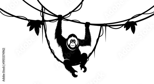 Monkey Hanging from Vine Rope.