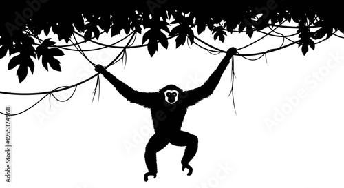 Monkey hanging from tree branch 1.