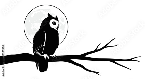 Owl Sitting on Tree Branch 1.