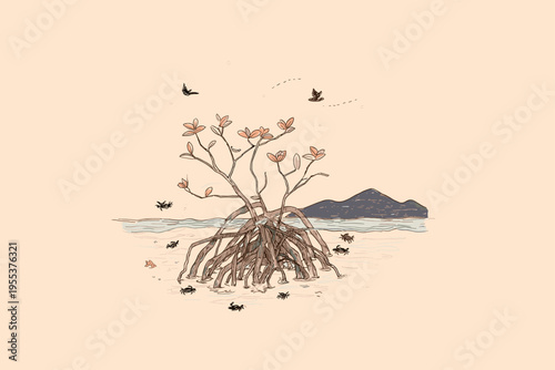 Mangrove Prop Roots in Shallow Coastal Water