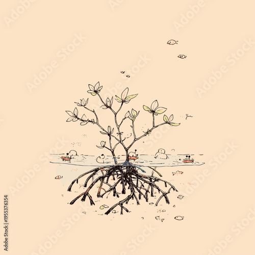 Mangrove Prop Roots in Shallow Coastal Water