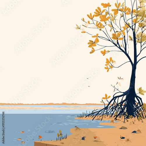 Mangrove Prop Roots in Tidal Shallows