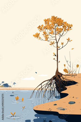 Mangrove Prop Roots in Tidal Shallows