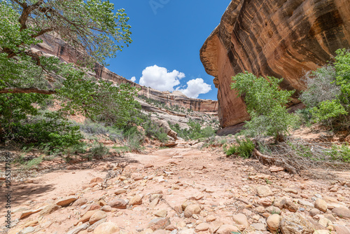 Wallpaper Mural Striated Rock Formations alongside the trail to Kachina Natural Bridge in Natural Bridges National Monument, Utah, USA Torontodigital.ca