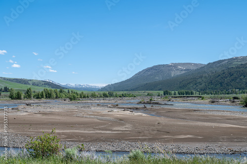 Wallpaper Mural Lamar River in the Lamar Valley in Yellowstone National Park, Wyoming, USA Torontodigital.ca