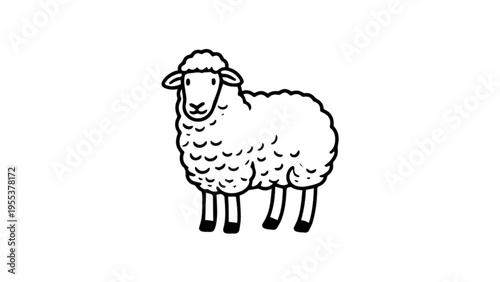 Hand drawn sheep line art illustration.