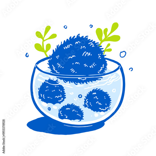 Minimal Marimo Moss Ball Texture Closeup