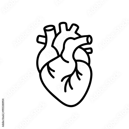 anatomical heart line icon, outline vector image
Vector line icon on a white background
Health, anatomy