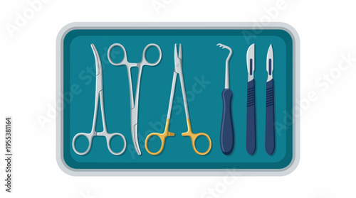 A neatly arranged tray featuring various surgical tools such as scissors, forceps, and scalpels, ready for a medical procedure or examination in a clinical setting.