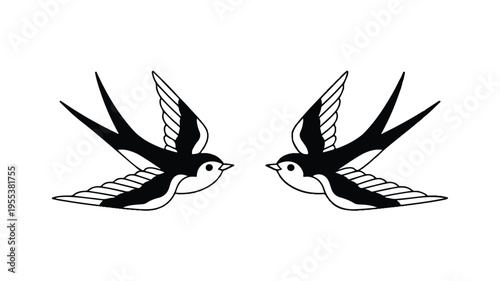 Two birds flying side by side in mid air as illustration