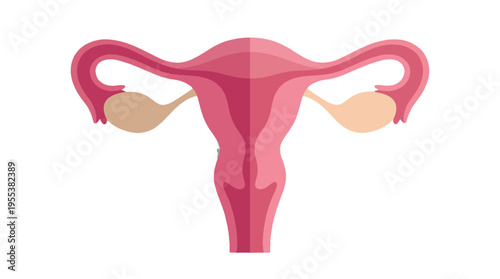 A detailed illustration of the female reproductive anatomy, showcasing the uterus and ovaries in a vibrant, educational design aimed at promoting awareness of women's health.